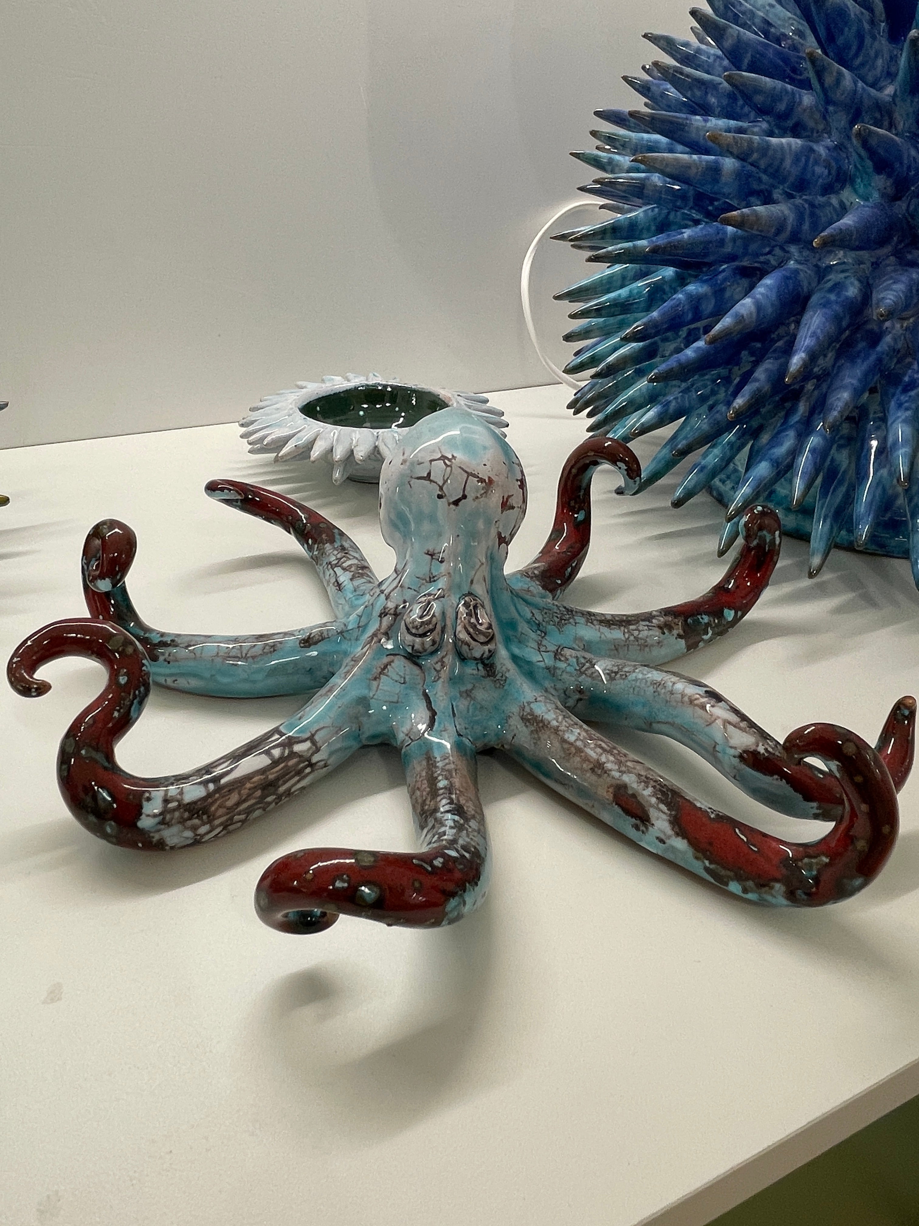 Polpo di San Domenico - Misura 2