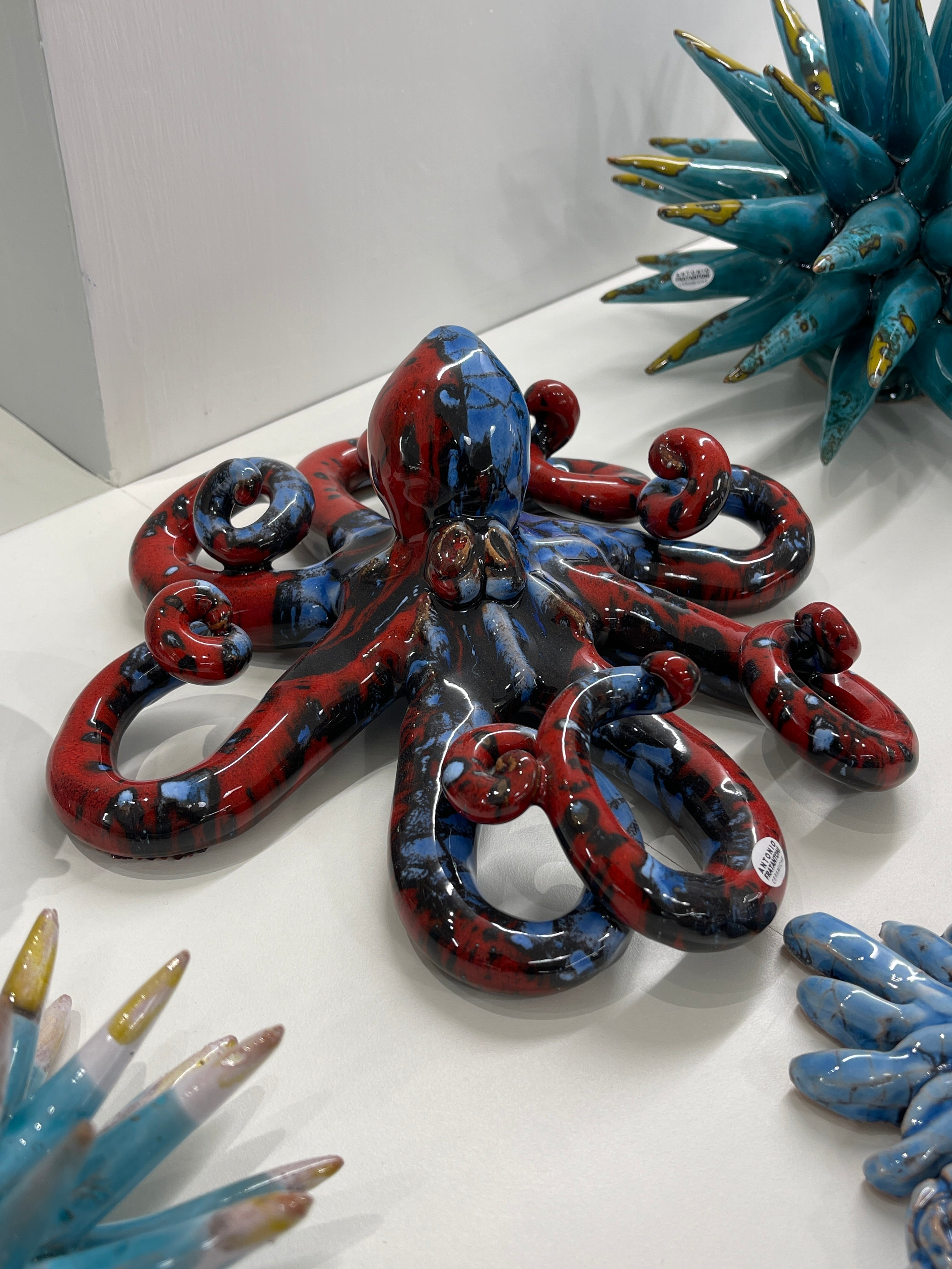 Polpo di San Domenico - Misura 2