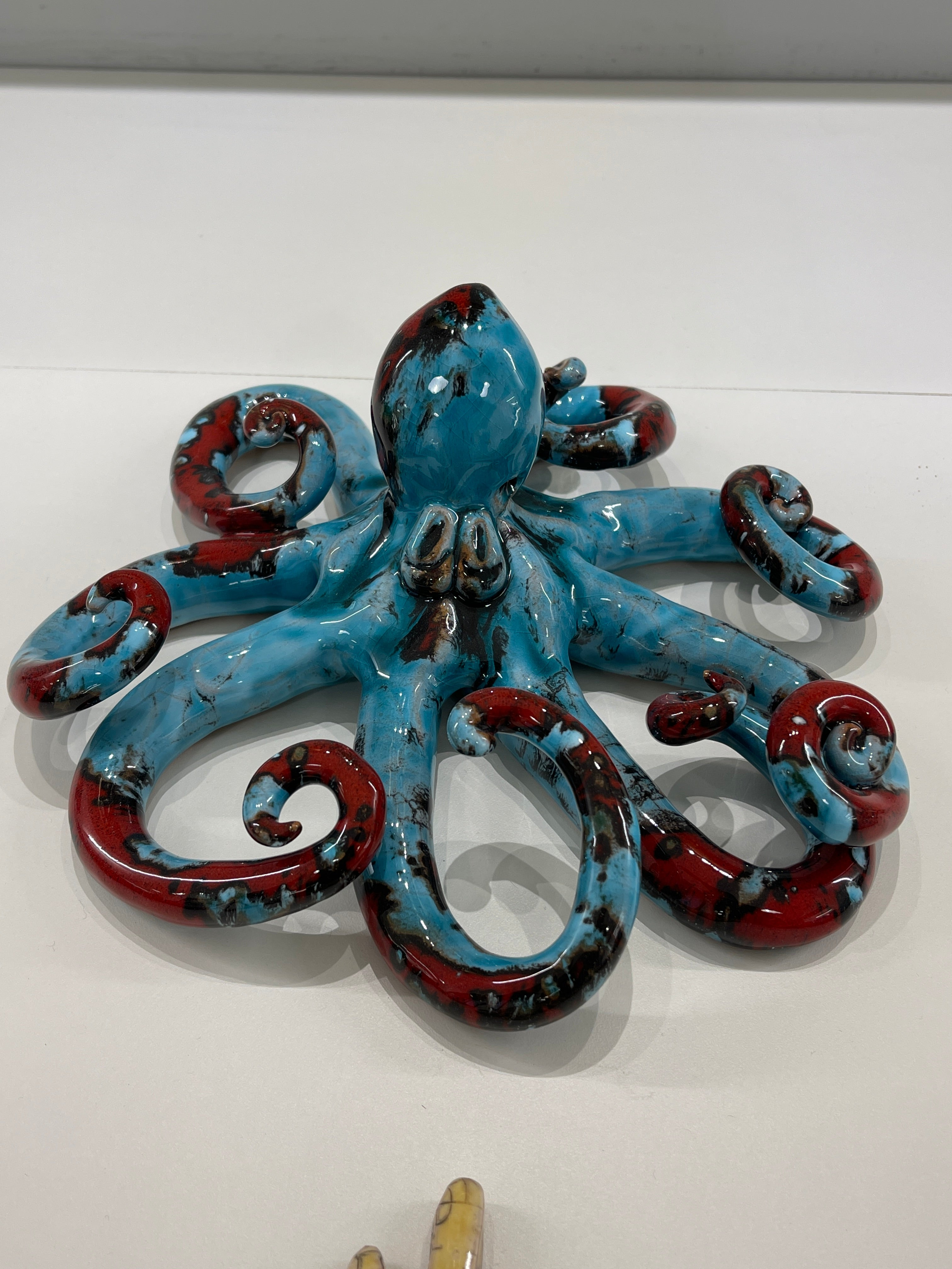 Polpo di San Domenico - Misura 2