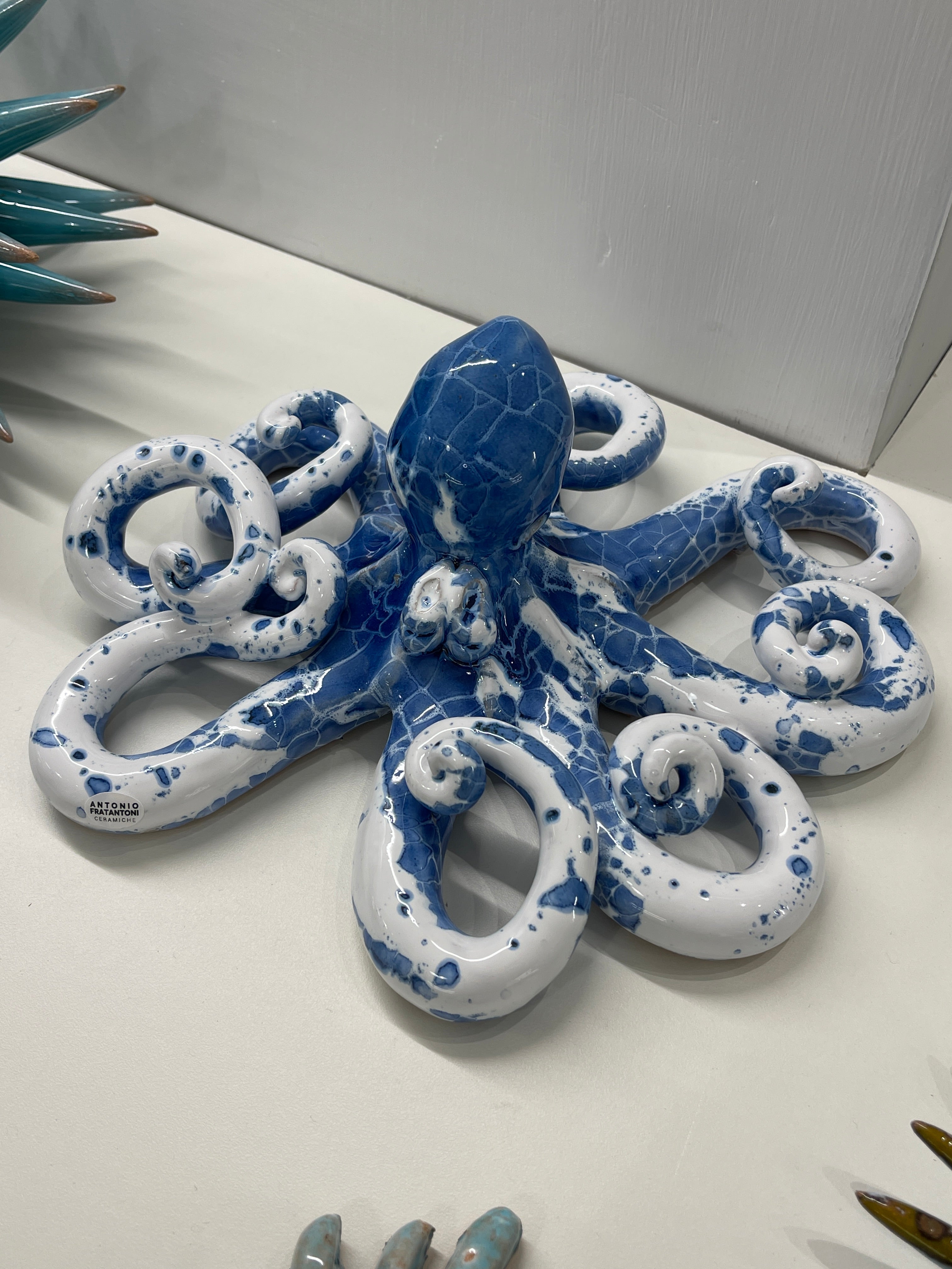 Polpo di San Domenico - Misura 2