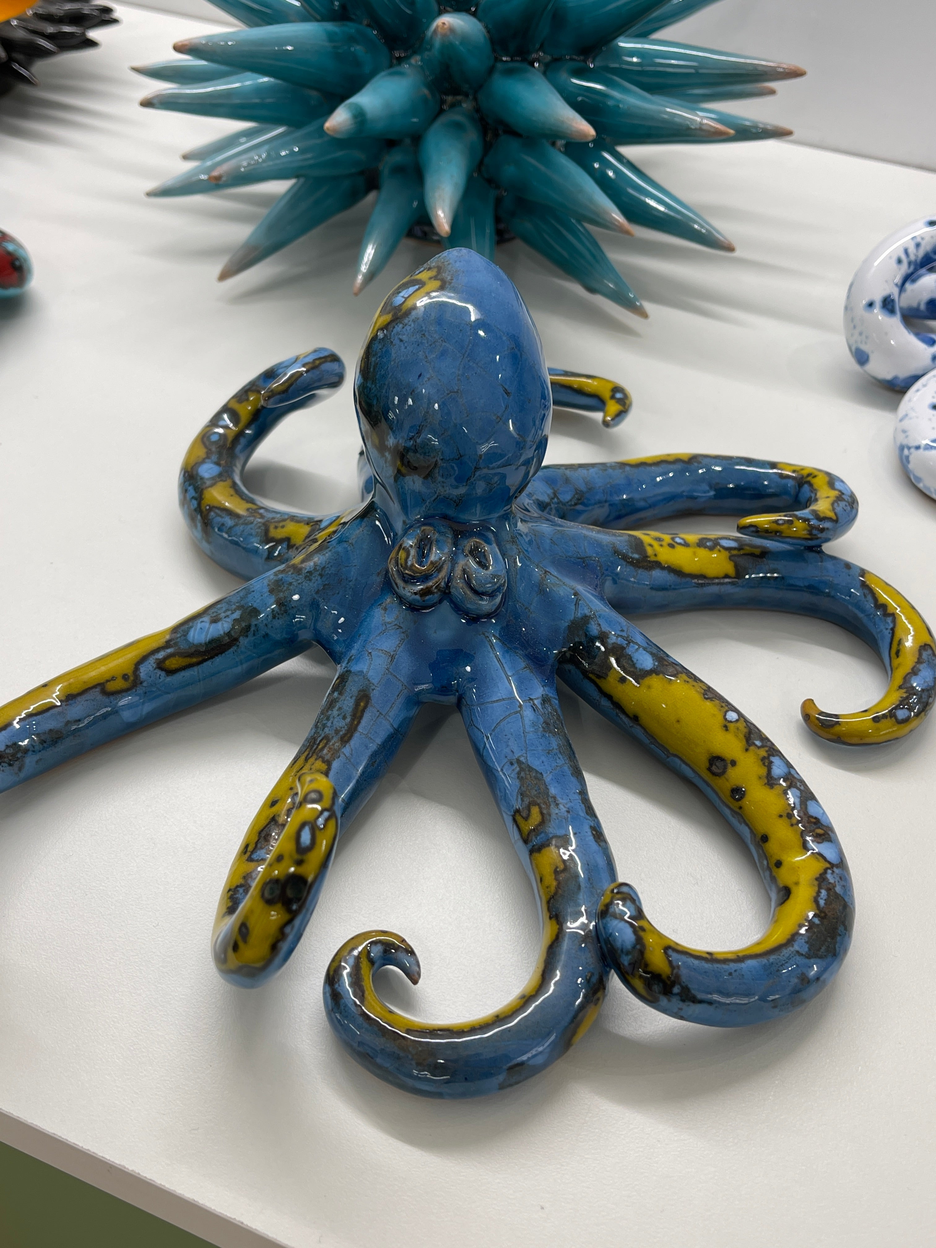 Polpo di San Domenico - Misura 2