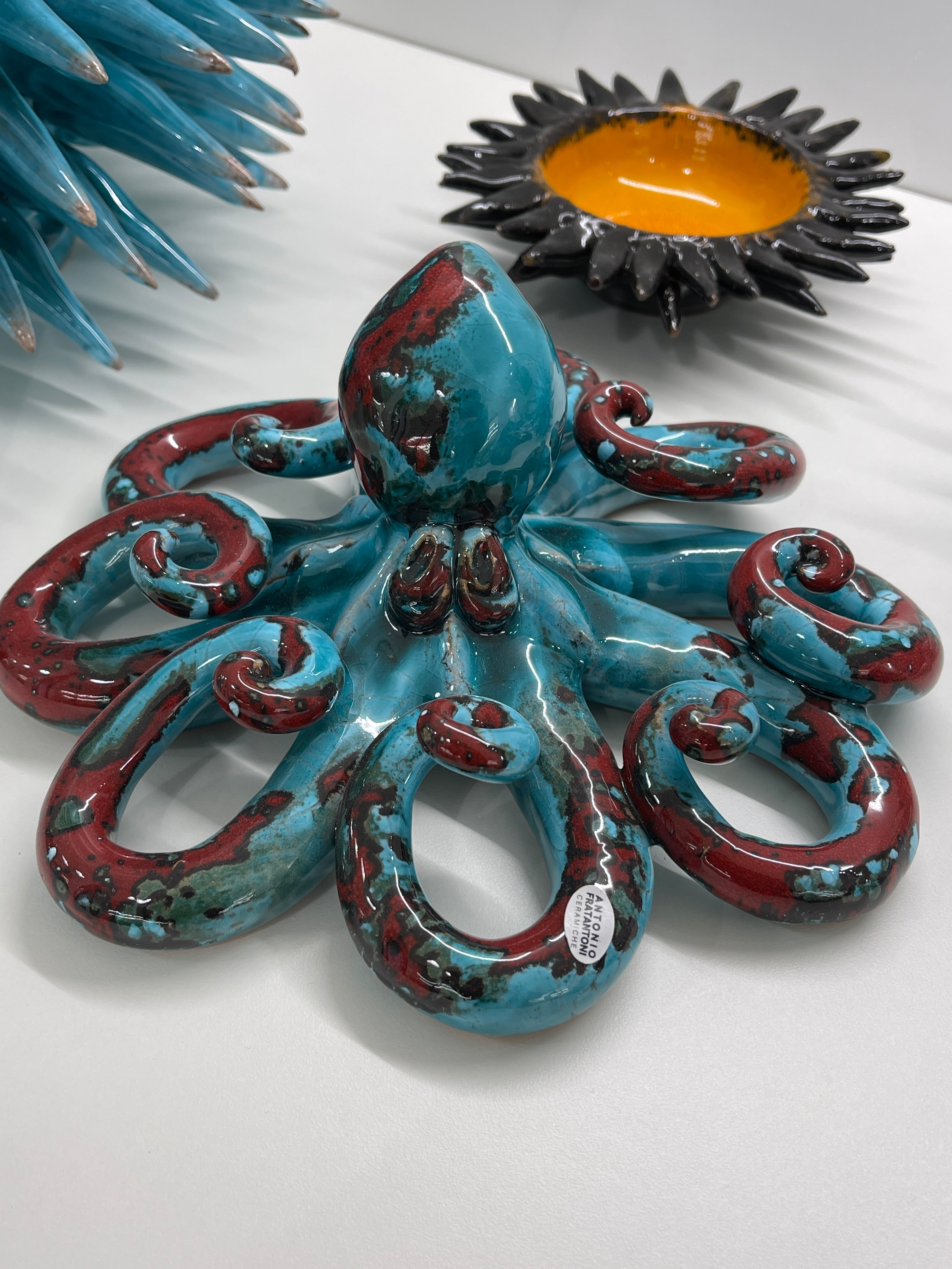 Polpo di San Domenico - Misura 2