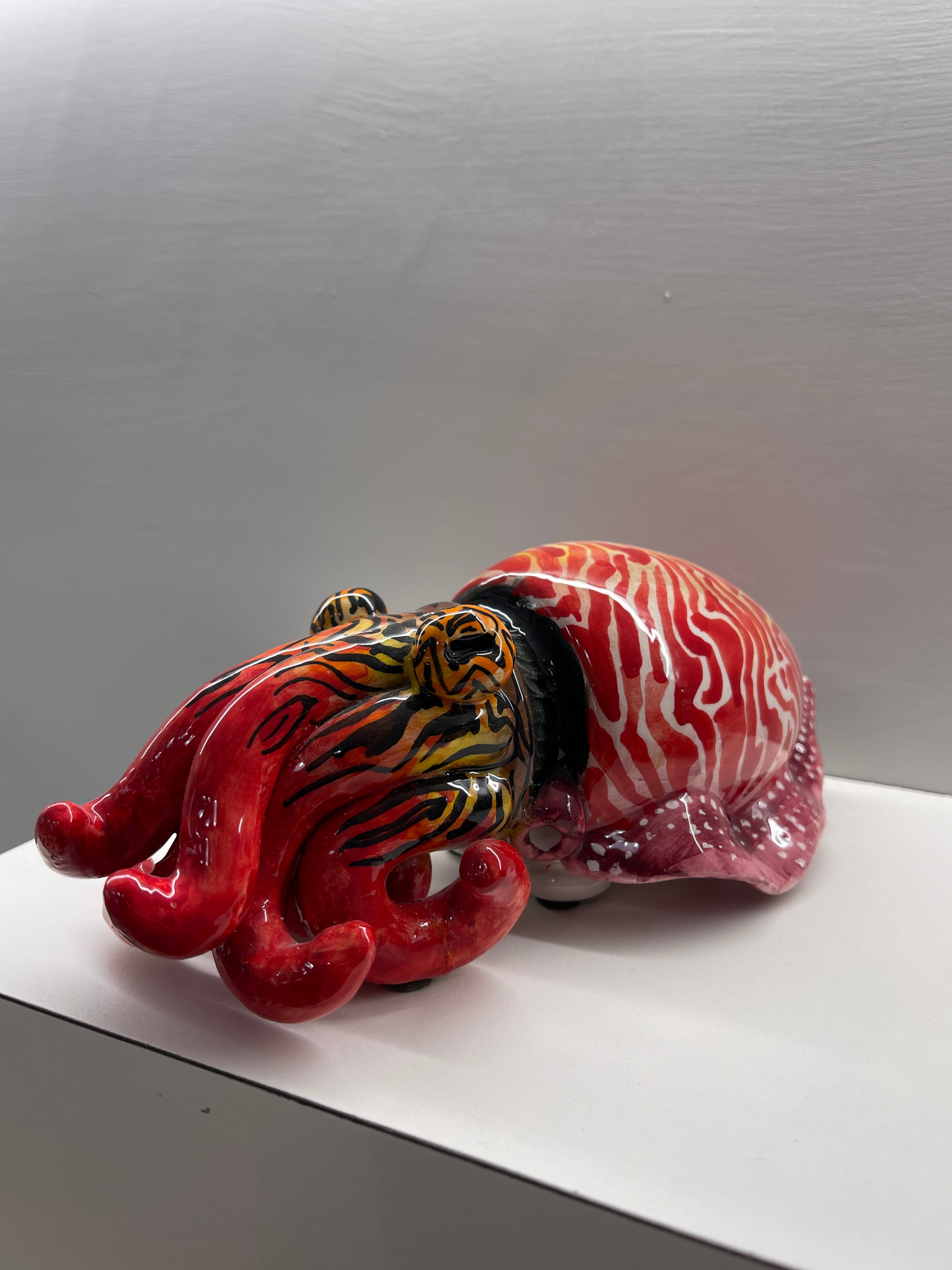 Seppia in ceramica - Misura XS